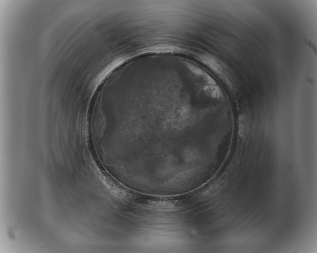 X0000103221229200809040955