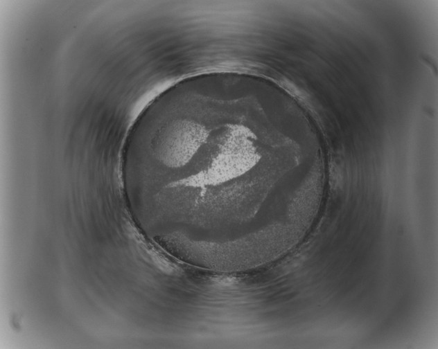 X0000103221230200809040955