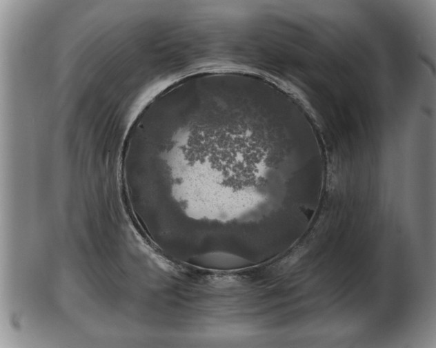 X0000103221231200809040955