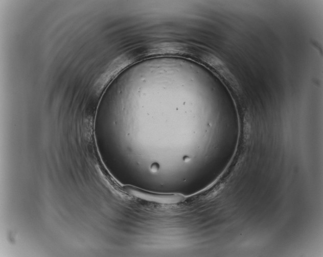 X0000103221233200809040956