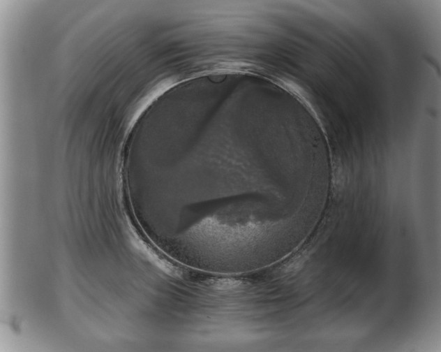 X0000103221235200809040956