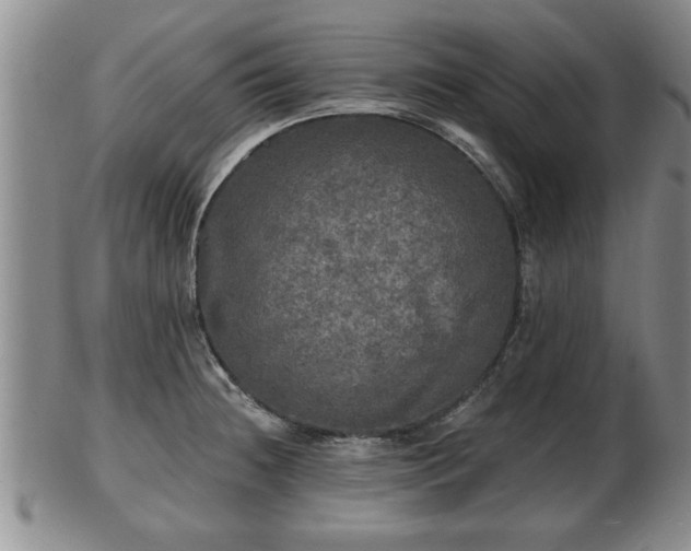 X0000103221236200809040956