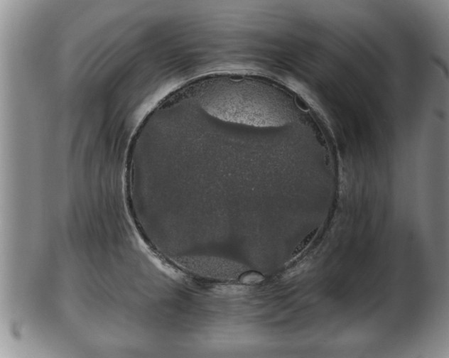 X0000103221237200809040956