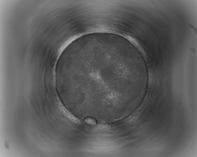 X0000103221238200809040956