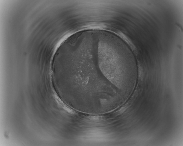 X0000103221240200809040956