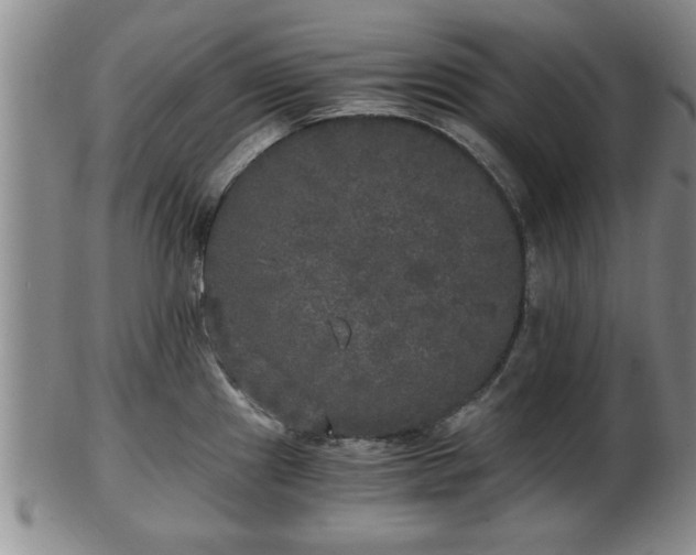 X0000103221241200809040956