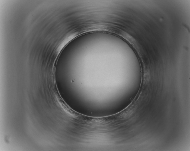 X0000103221242200809040956