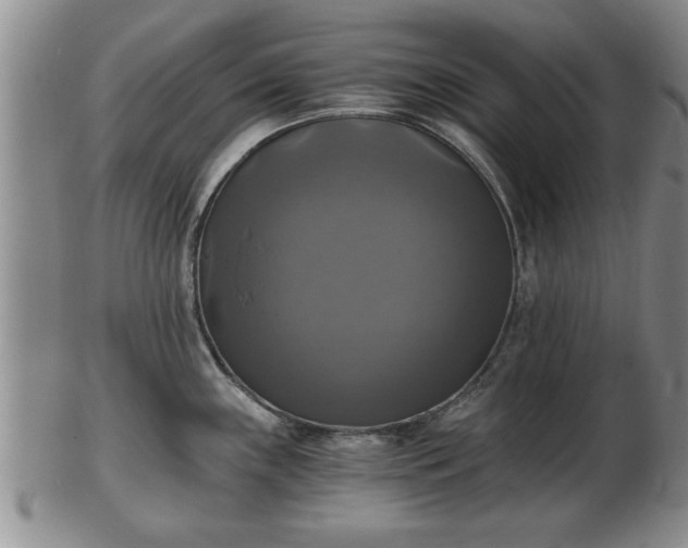 X0000103221243200809040956