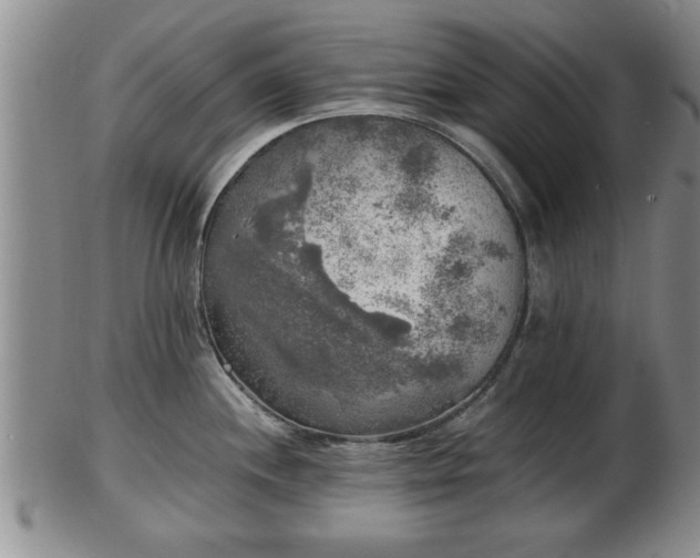 X0000103221244200809040956