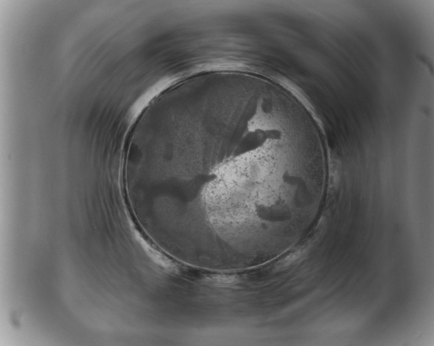 X0000103221245200809040956