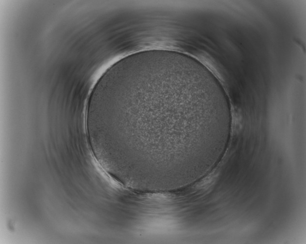 X0000103221246200809040956