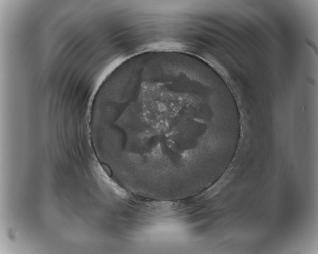 X0000103221248200809040956