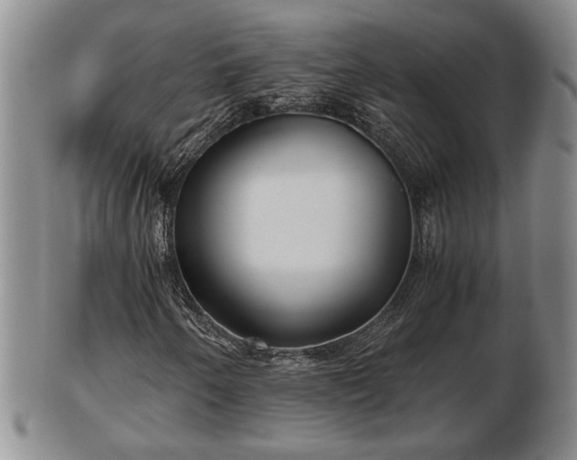 X0000103221250200809040955