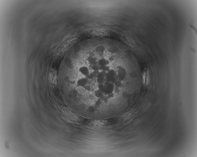 X0000103221251200809040955