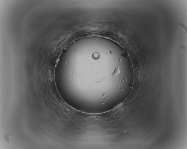 X0000103221253200809040955