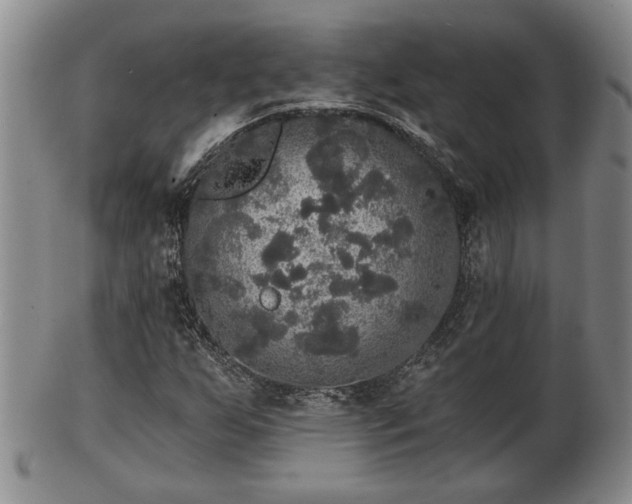 X0000103221255200809040955