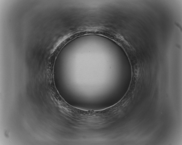 X0000103221256200809040955