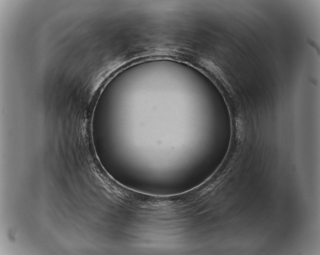 X0000103221260200809040955