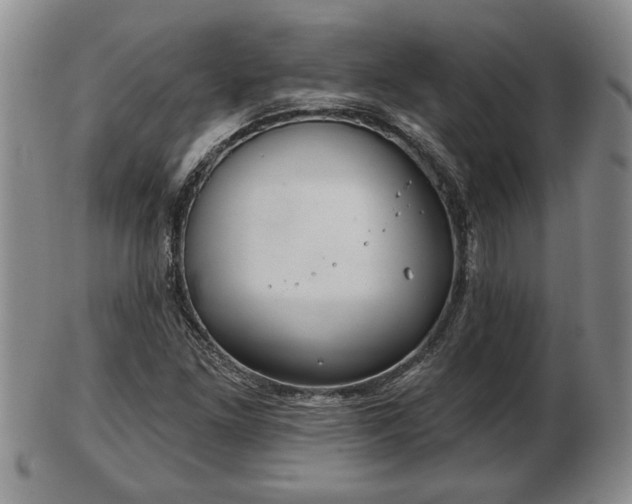 X0000103221261200809040955