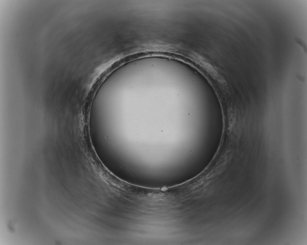 X0000103221264200809040955