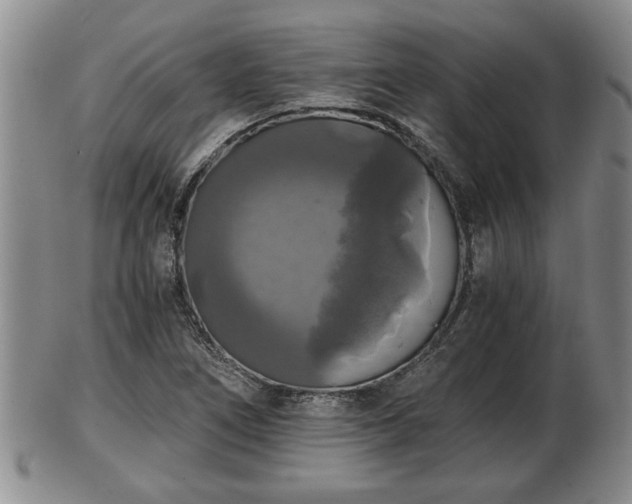 X0000103221266200809040955