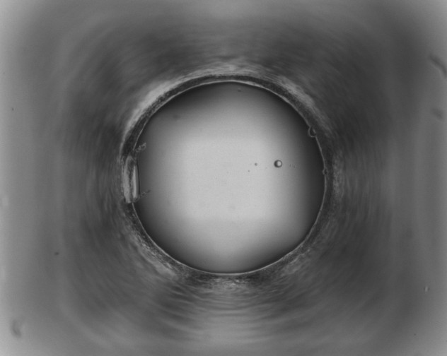 X0000103221270200809040955