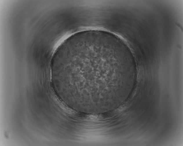 X0000103221271200809040955