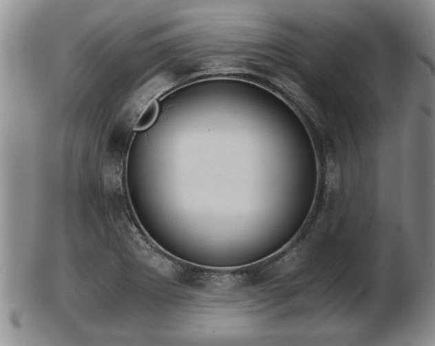 X0000103221273200809040955