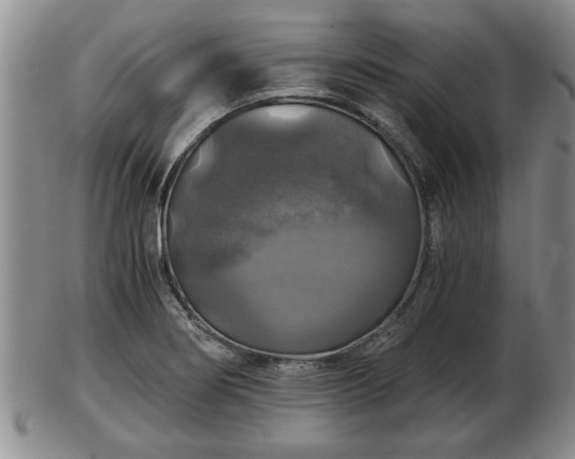 X0000103221274200809040955