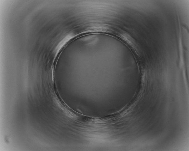 X0000103221275200809040955