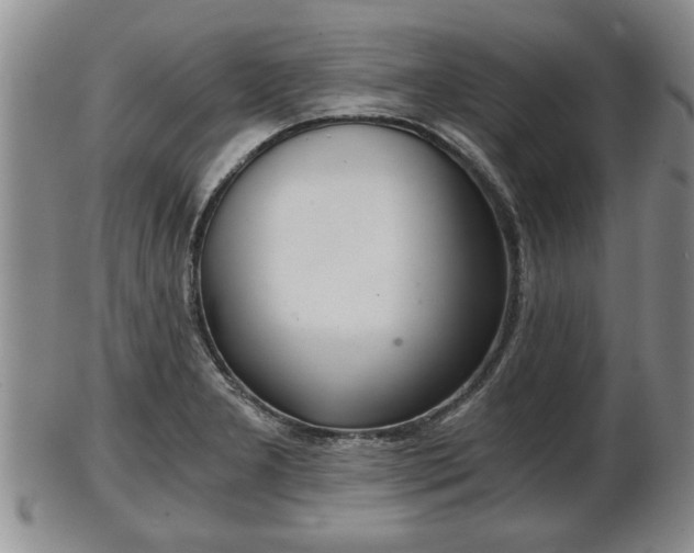 X0000103221277200809040955