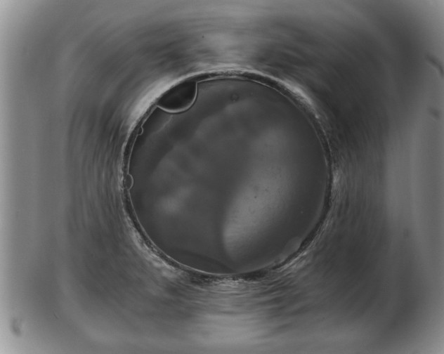 X0000103221279200809040955