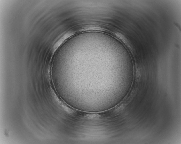 X0000103221282200809040955