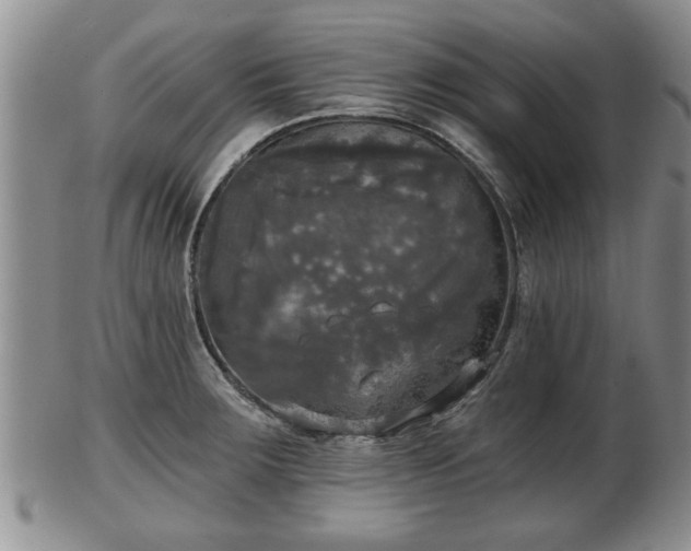 X0000103221283200809040955