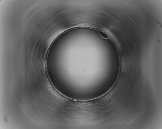 X0000103221284200809040955