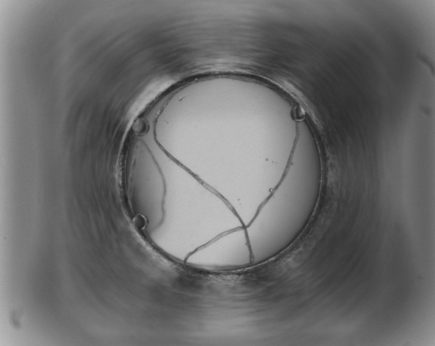 X0000103221285200809040955