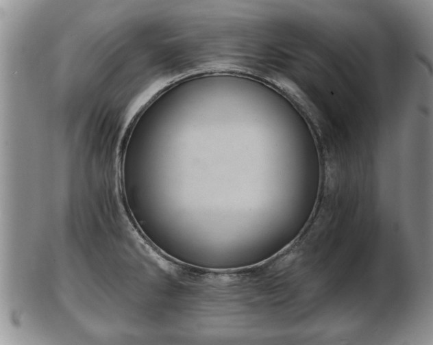 X0000103221286200809040955