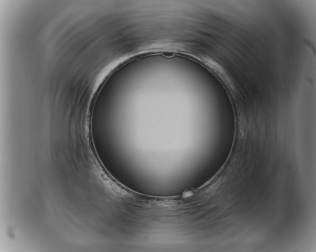 X0000103221288200809040955