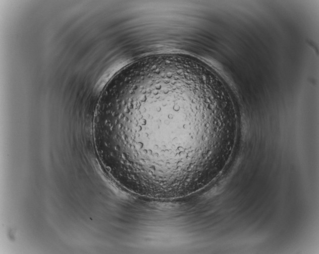 X0000103221289200809040955