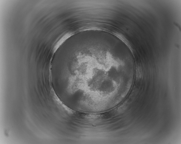 X0000103221290200809040954