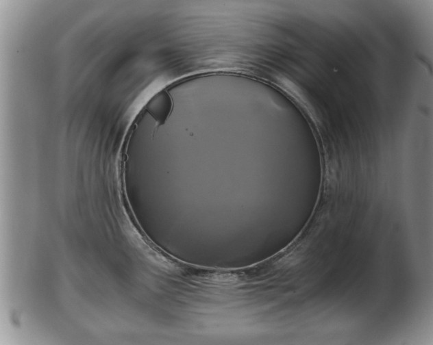 X0000103221291200809040954