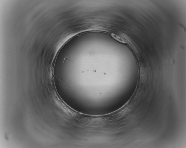 X0000103221292200809040954