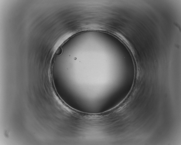 X0000103221293200809040954