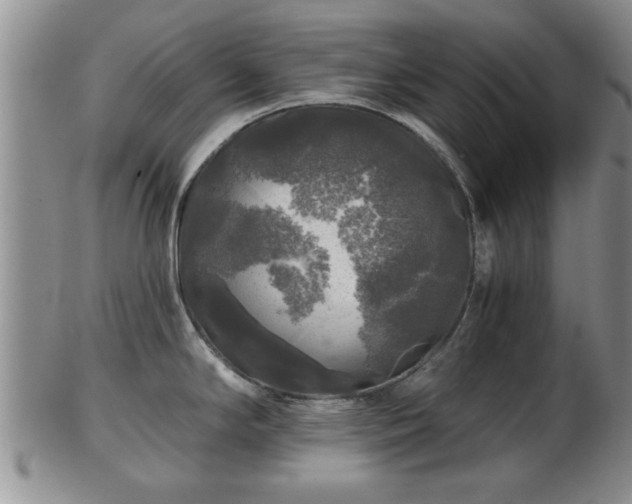 X0000103221294200809040954