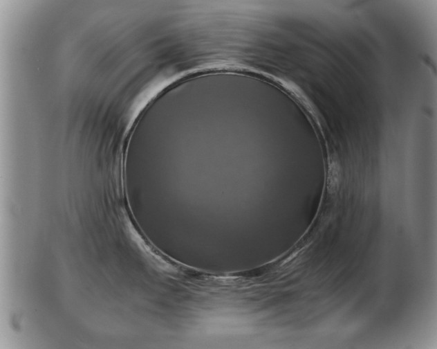 X0000103221295200809040954