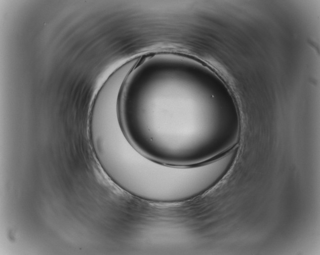 X0000103221296200809040954