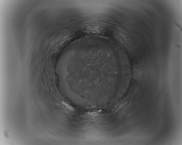 X0000103221297200809040954