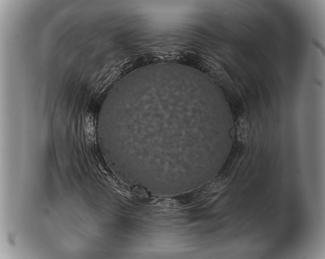 X0000103221298200809040954