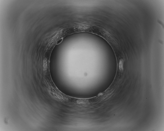 X0000103221299200809040954