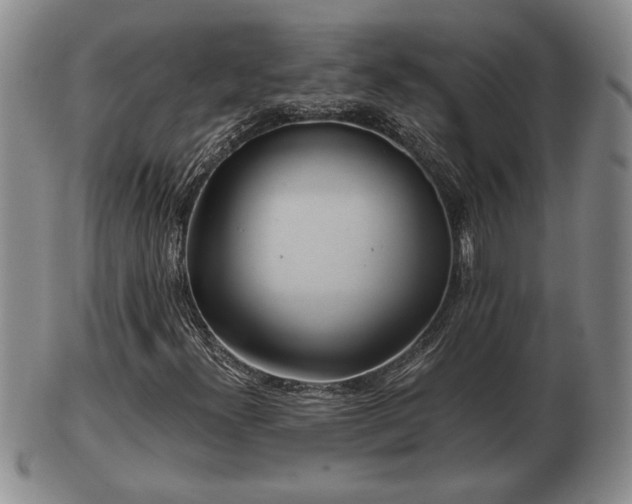 X0000103221300200809040954